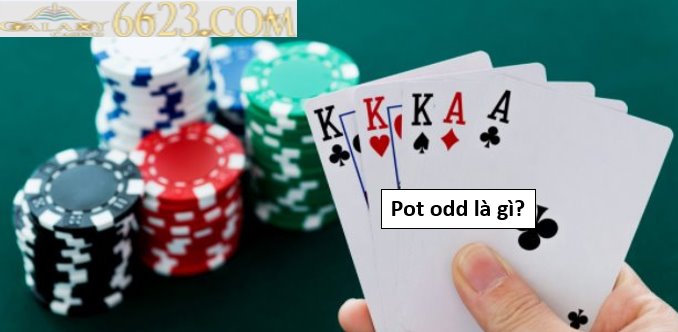 Pot odd là gì? Phương pháp tìm Pot odd trong Poker hiệu quả nhất